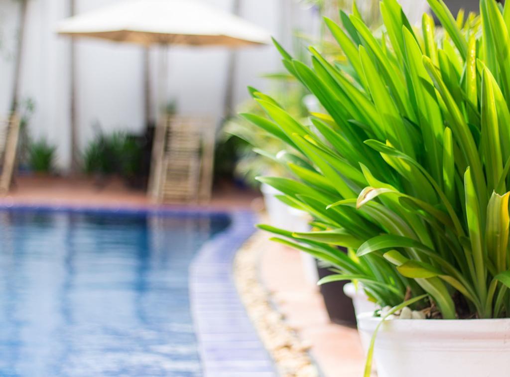 Overflow Guesthouse Sziemreap Kültér fotó